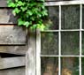 Abandoned cabin, Galiano Island