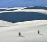 White Sands National Monument