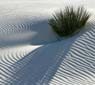 White Sands National Monument