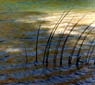 Pavilion Lake, near Lillooet