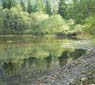 Deer Lake, Harrison Hotsprings