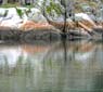 Manson's Landing, Cortes Island